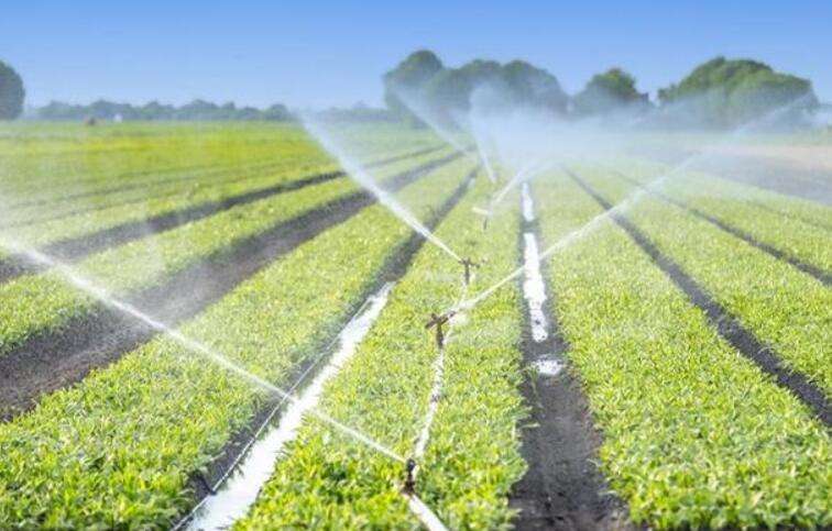 �������a���g���I