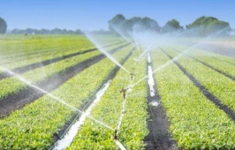 �������a(ch��n)���g(sh��)���I(y��)