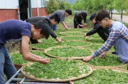 ���~���a(ch��n)�c�ӹ����I(y��)