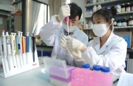 ˎ���Ƅ����t(y��)�W(xu��)����W(xu��)�ࡿ