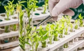 �������a(ch��n)���g(sh��)