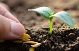 �������a(ch��n)���g(sh��)