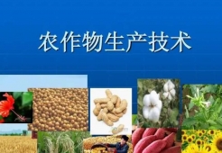 �������a(ch��n)���g(sh��)