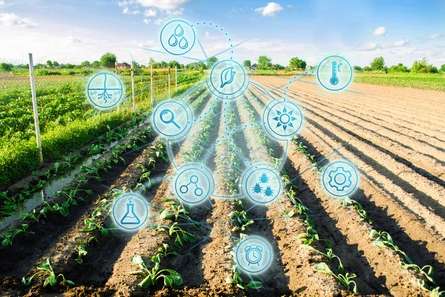 �������a���g