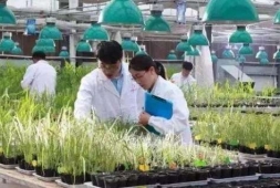 �������a(ch��n)���g(sh��)���I(y��)