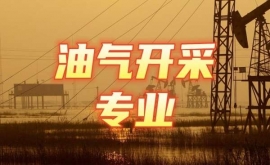 �͚��_(k��i)�Ɍ��I(y��)