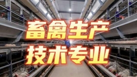 �������a���g���I