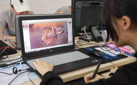 �����c�Α��������I(y��)