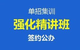 ������Ӗ-�������v��