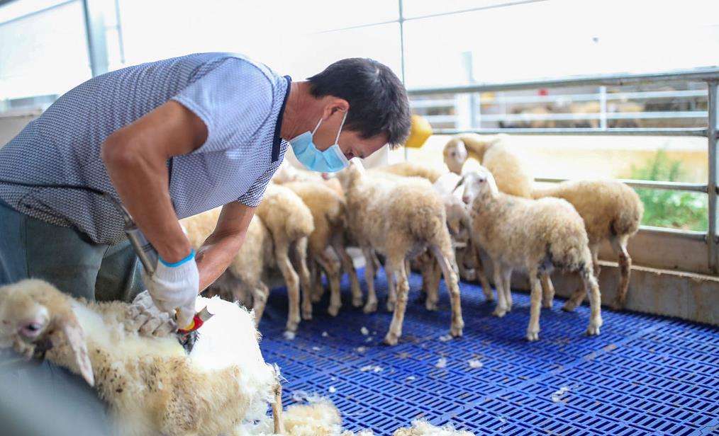 �����F�t