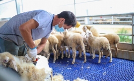 �����F�t