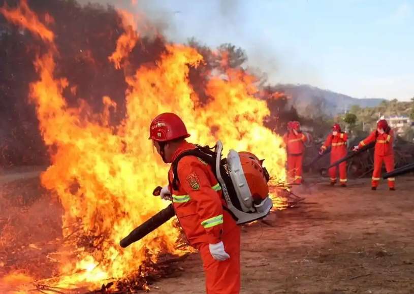 ɭ���������I