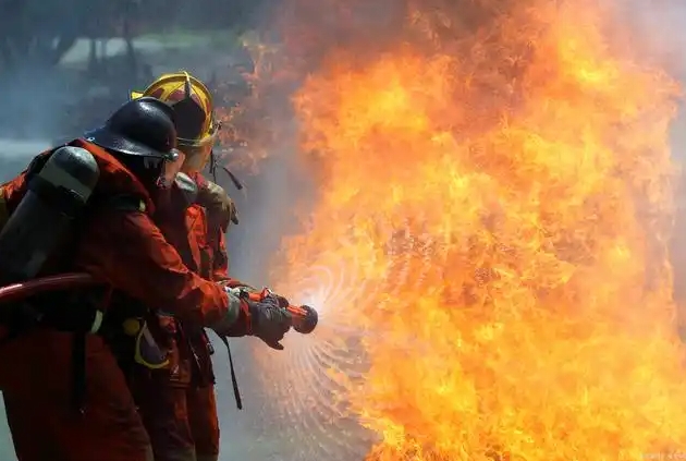 2025���Ĵ��ɶ��_�O�������I�Ќ���������Ϣ�l����